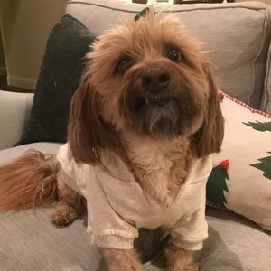 Meet your Posher, Olivia